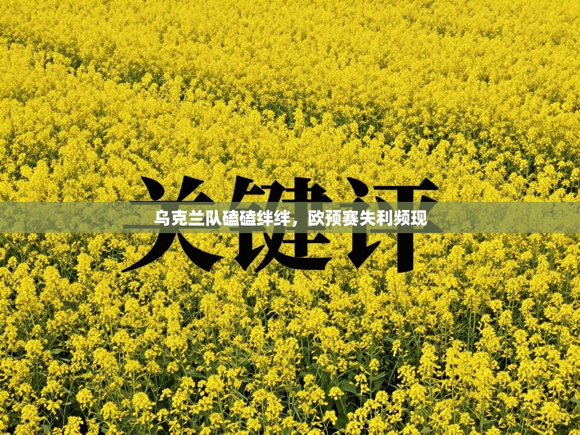 乌克兰队磕磕绊绊，欧预赛失利频现