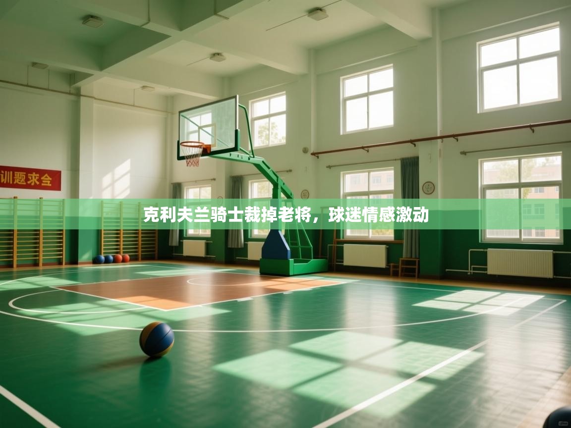 克利夫兰骑士裁掉老将，球迷情感激动