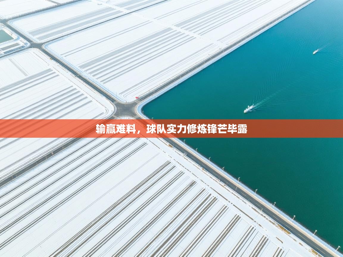 输赢难料，球队实力修炼锋芒毕露