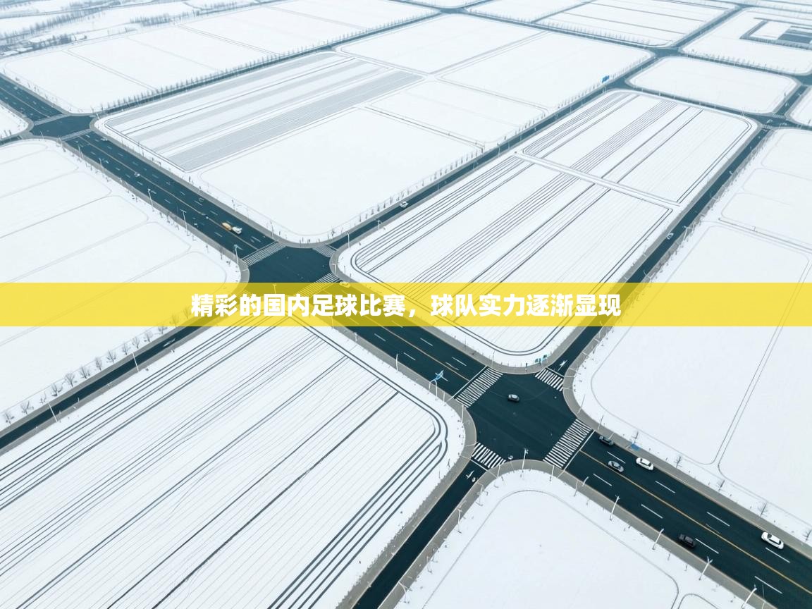 精彩的国内足球比赛，球队实力逐渐显现